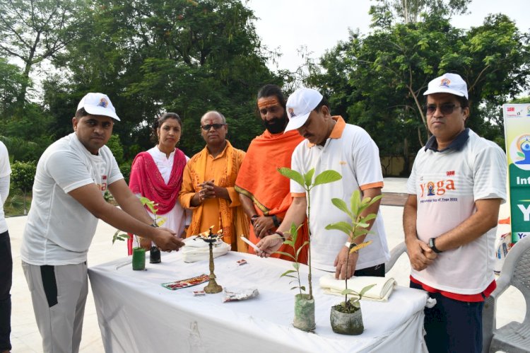 नेहरु युवा केंद्र द्वारा विश्व योग दिवस मनाया गया 