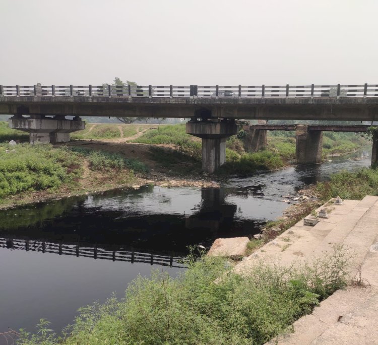 सरिसवा नदी के प्रदूषण को रोके बगैर गंगा को भी शुद्ध नहीं किया जा सकता