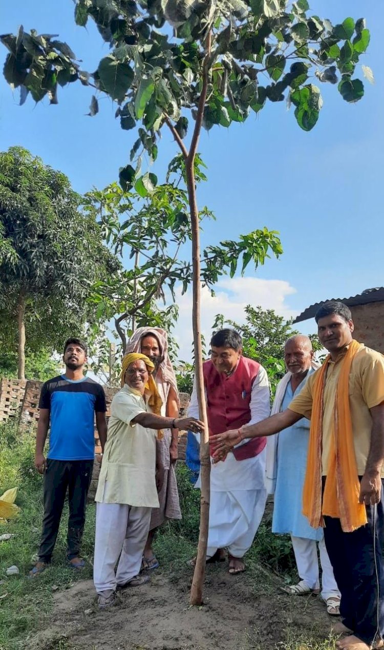 शरद पूर्णिमा के अवसर पर मांझी रामघाट पर वृक्षारोपण